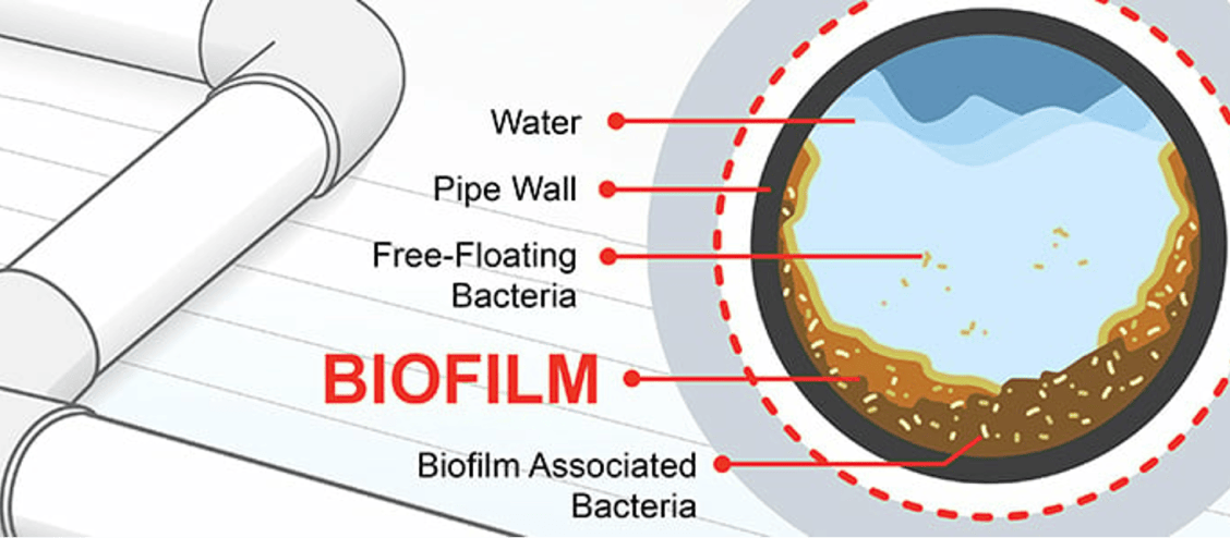 Schema of EGIDION biofilm monitoring system integrated in a water network